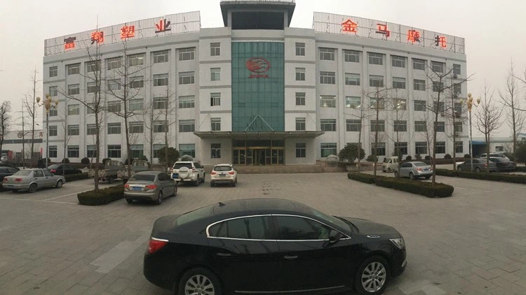 company information company information