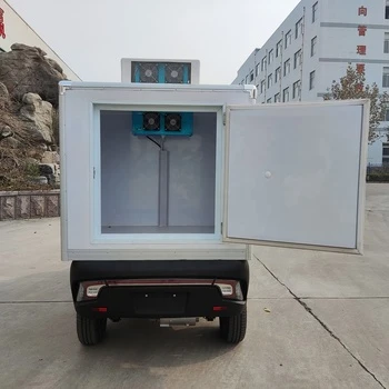 Runhorse TEV DOT COC Logistics Van With Refrigerator Box Customized Temperature -18 To 5 ℃ Runhorse TEV DOT COC Logistics Van With Refrigerator Box Customized Temperature -18 To 5 ℃