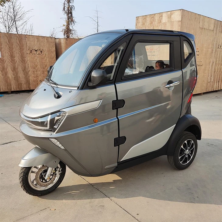 EEC 3-Wheeler Electric Mini Car, Mobility Motorcycle Tricycle