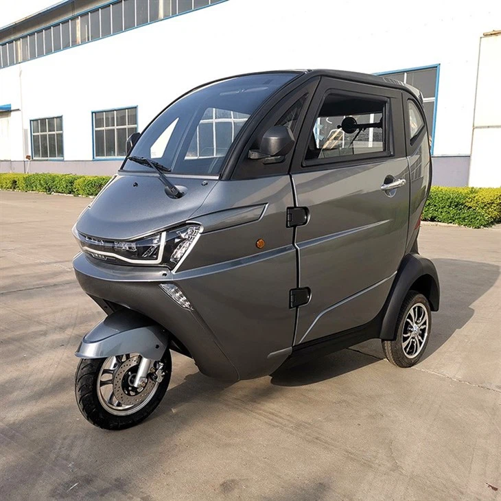 EEC 3-Wheeler Electric Mini Car, Mobility Motorcycle Tricycle