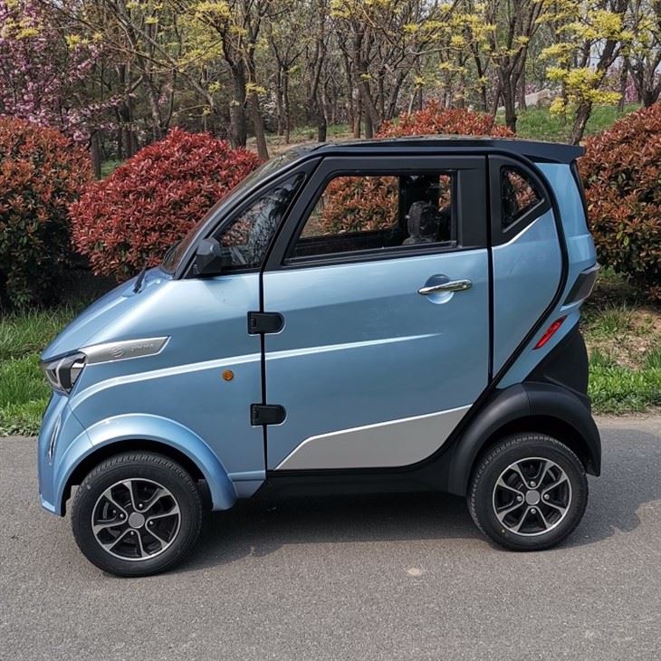 EEC COC 3 Wheels 4 Wheels Mini Electric Car