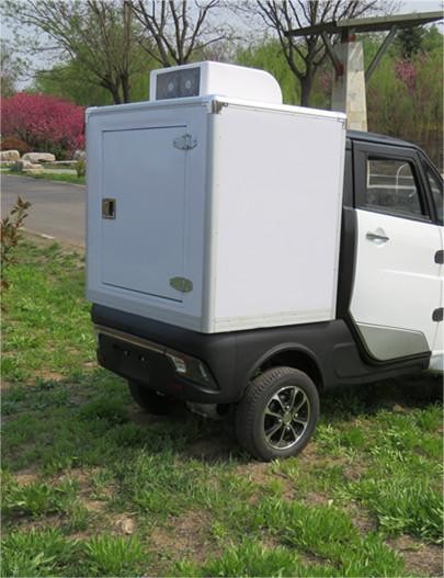 EEC COC DOT Low Speed Mini Electric Tricycle Pick Up Tricycle