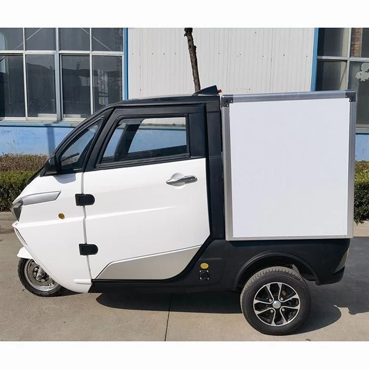 L5e China Pedal Cargo Tricycle New Energy Electric Delivery Vehicle With Van Box For Sale
