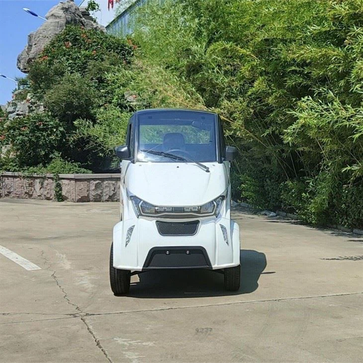 Low Speed Electric Adult 4 Wheels New Energy Car With 105Ah Lithium Battery