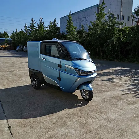 Motorcycle Cargo Car For Adults Rickshaw Family Vehicle Fully Enclosed Closed Van